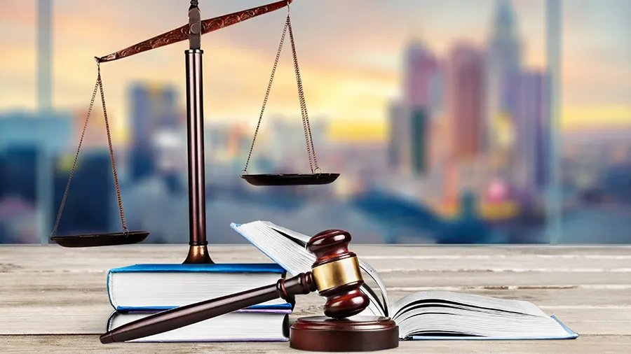 T Legal-Ease International Inc - The Online Seminar by Dena Falken